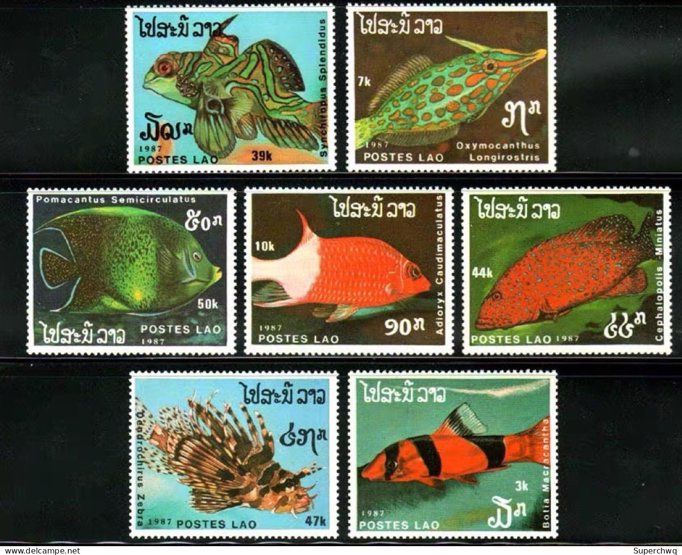 Laos 1987 Fish Tropical Fish Ornamental Fish Sand Loach Sharp Snouted Porpoise Nine Spined Perch，7v MNH - Laos