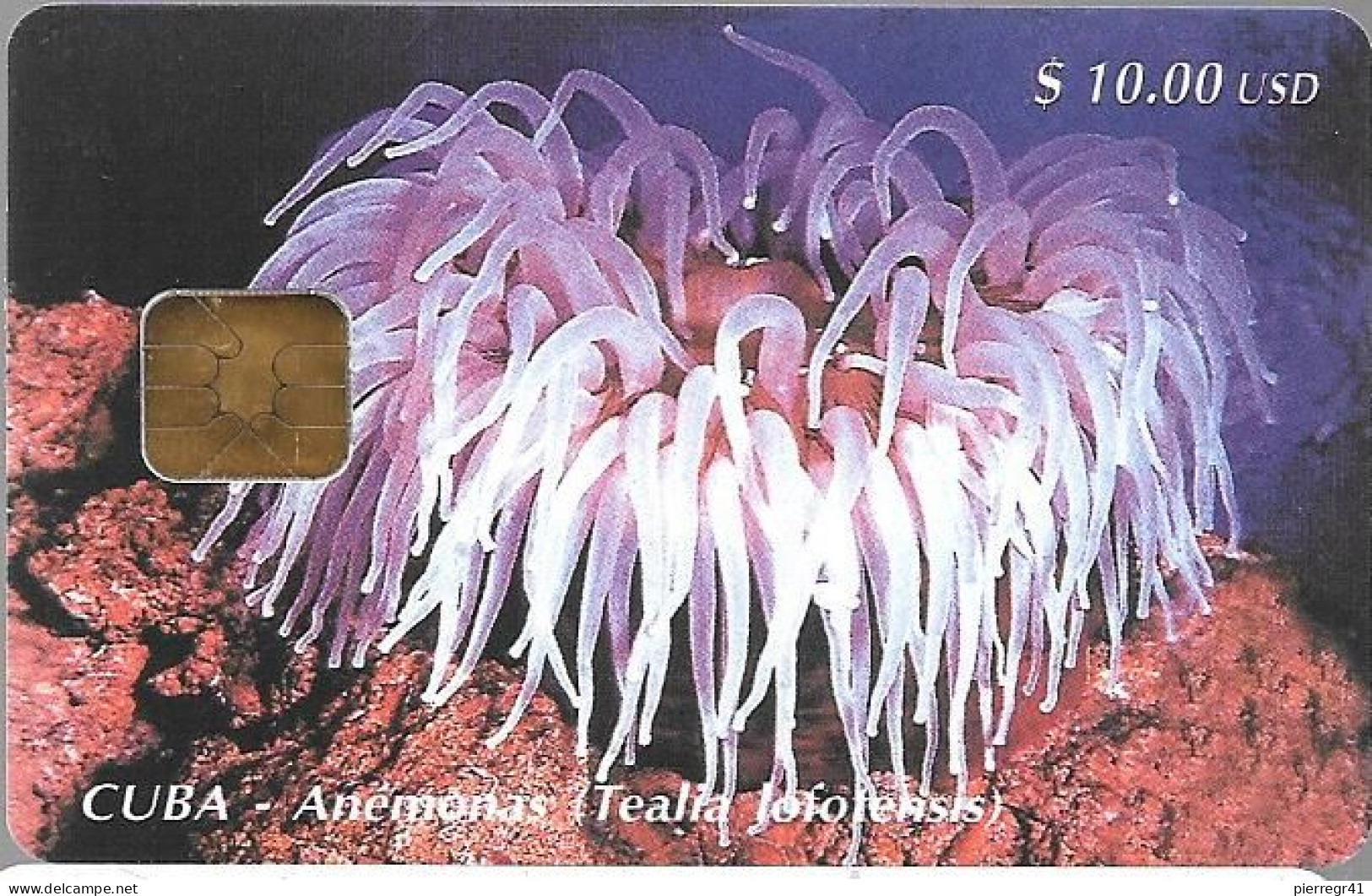 CARTE-PUCE-CUBA-10$-ANEMONE-Utilisé-TBE - Peces