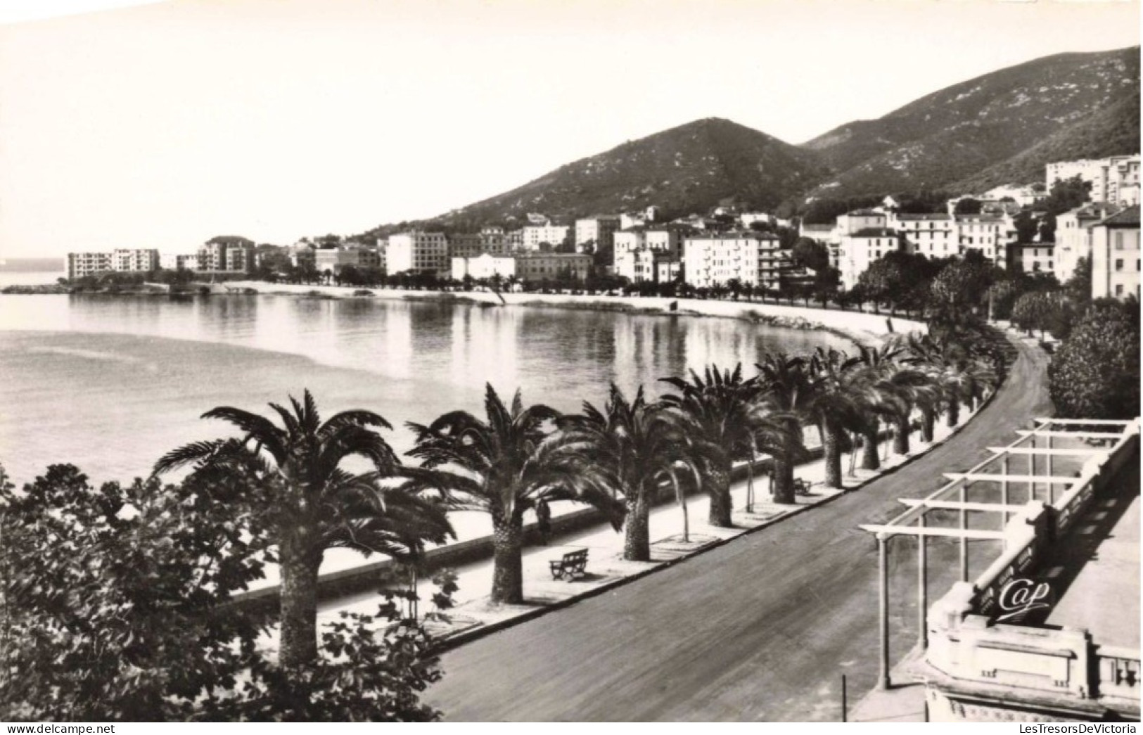 FRANCE - Ajaccio (Corse) - Boulevard Albert Ier - Carte Postale Ancienne - Ajaccio