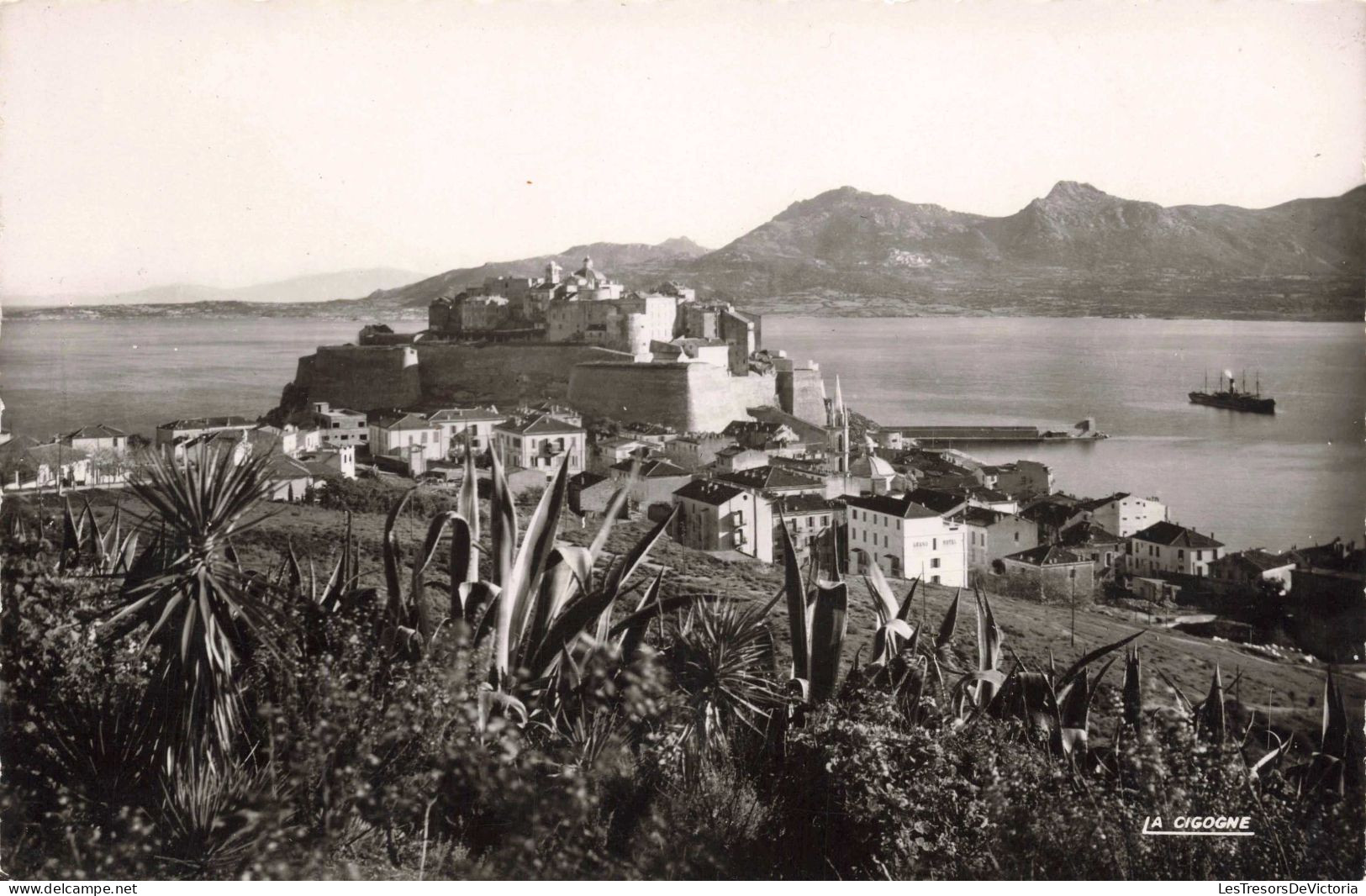 FRANCE - Corse - Calvi - Vue Sur Le Golfe - Carte Postale Ancienne - Calvi