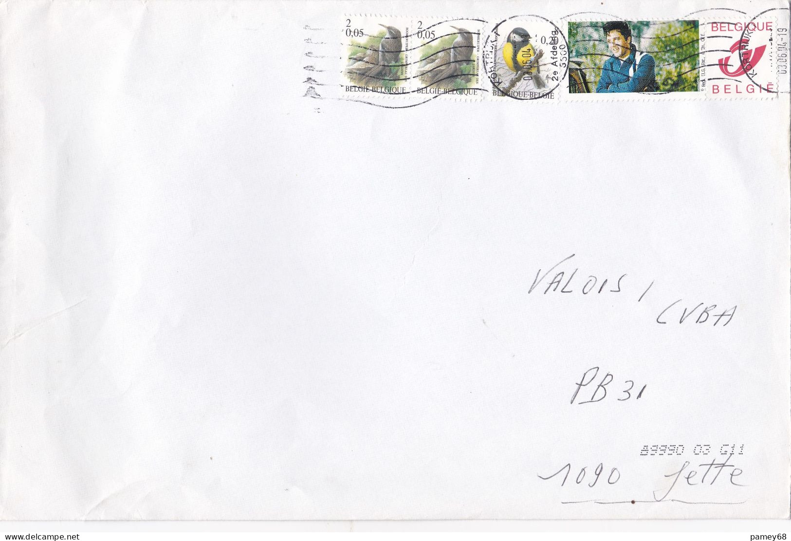 Lettre Du 03.06.2004 Avec Timbre Pub Privé Elvis + Timbres Oiseaux De Buzin - Lettres & Documents