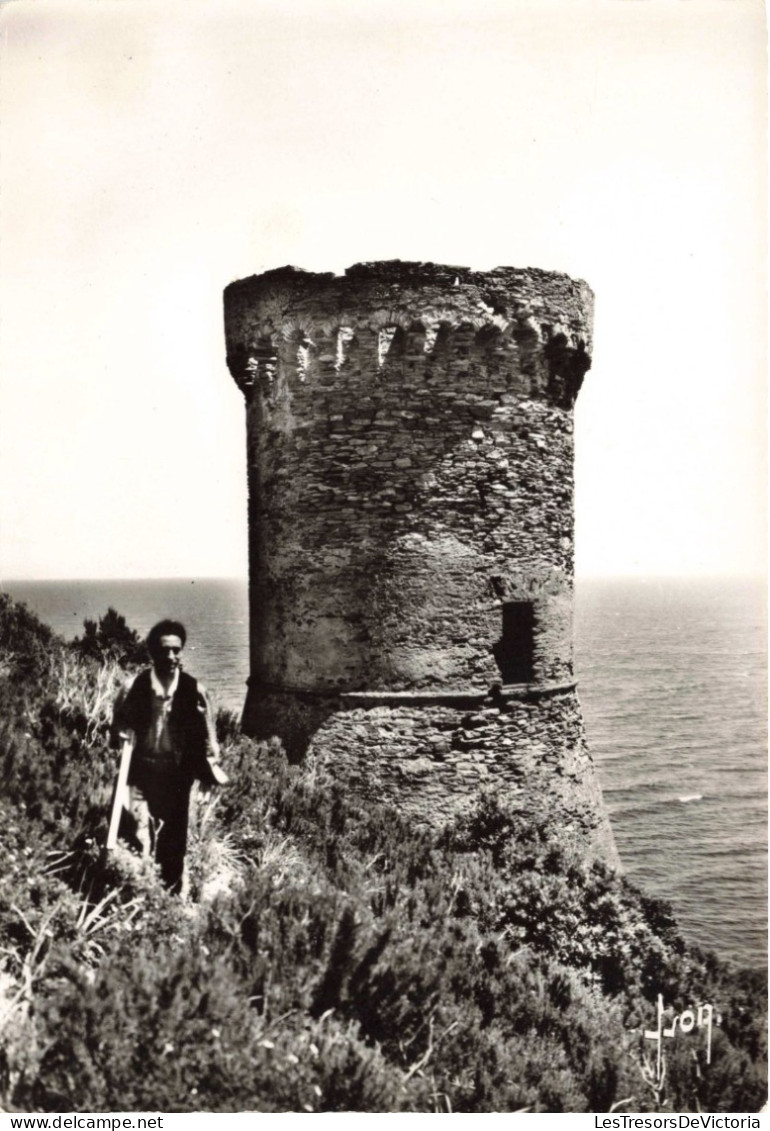 FRANCE - La Corse - Tour De Losse - Tour Génoise Au Cap Corse - Carte Postale Ancienne - Sonstige & Ohne Zuordnung