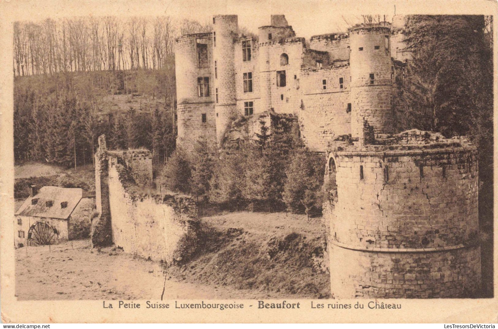 LUXEMBOURG - Beaufort - Les Ruines Du Château - Carte Postale Ancienne - Sonstige & Ohne Zuordnung