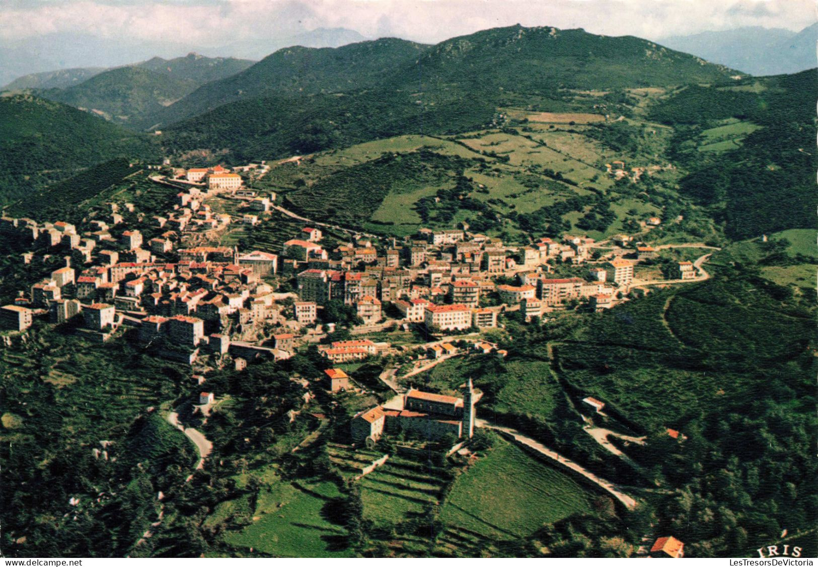 FRANCE - Sartene - Vue Générale - Colorisé - Carte Postale Ancienne - Sartene