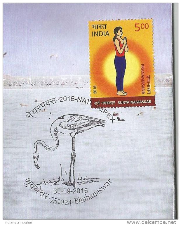 Chilka Lake,Greater Flamingo Pictorial Cancellation,Largest Bracish Water Wetland, Heaven For Birds, Special Cover - Flamencos
