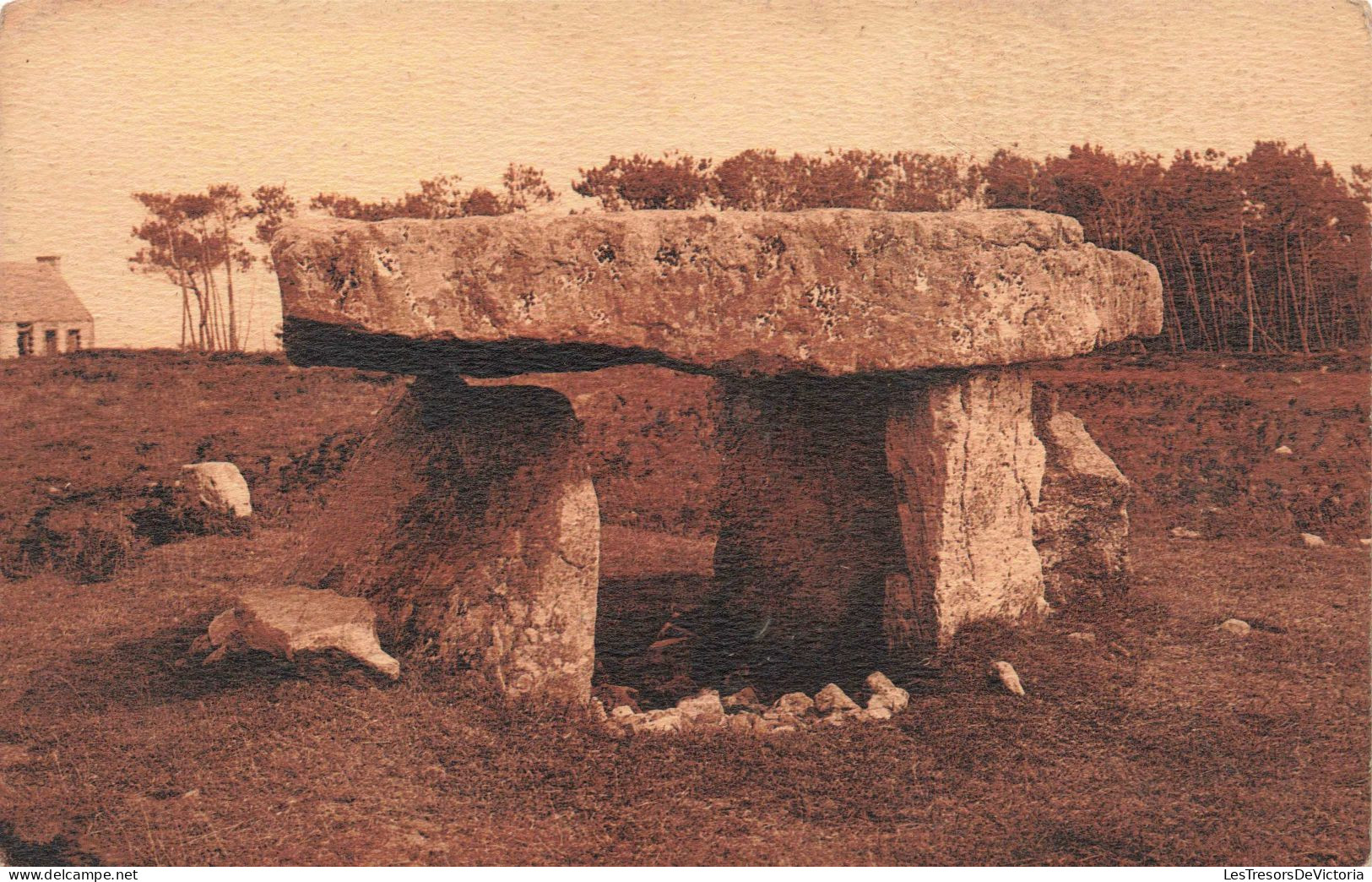 FRANCE - Morgat - Dolmen De Rostudel - Carte Postale Ancienne - Morgat