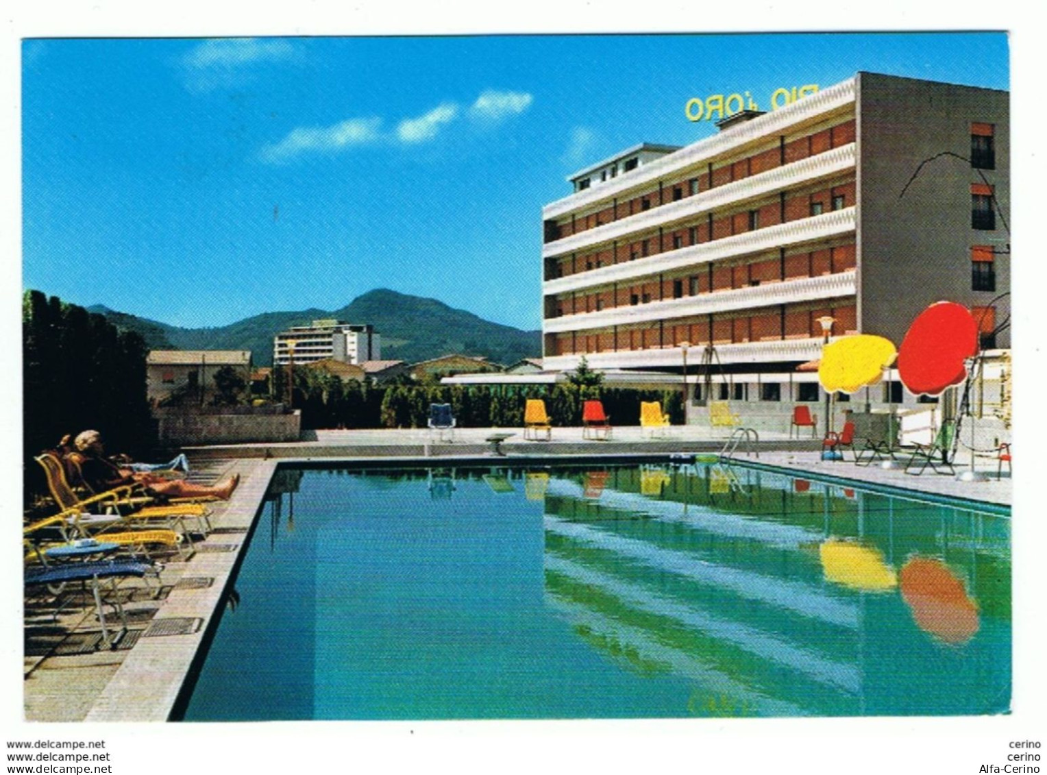 MONTEGROTTO  TERME (PD):   HOTEL  RIO  D' ORO  TERME  -  PER  LA  SVIZZERA  -  FG - Hotels & Restaurants