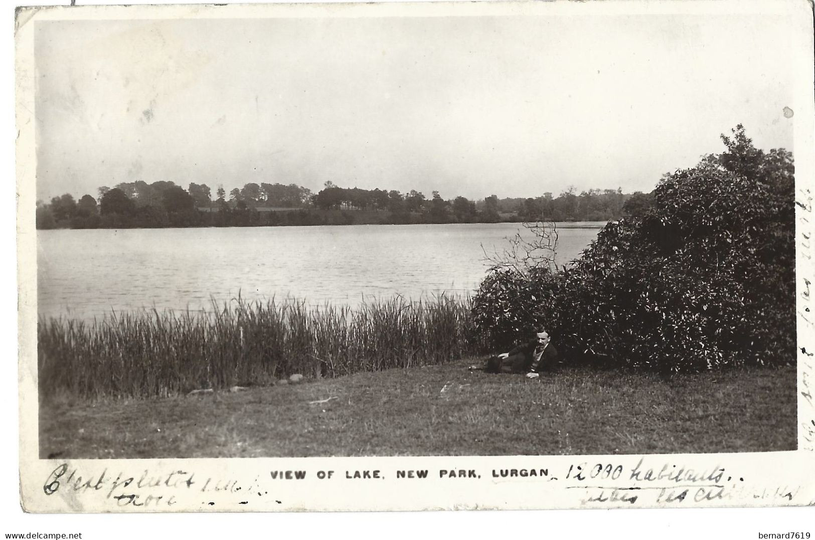 Irlande  Lurgan -  View  Of Lake , New Park , Lurgan - Autres & Non Classés