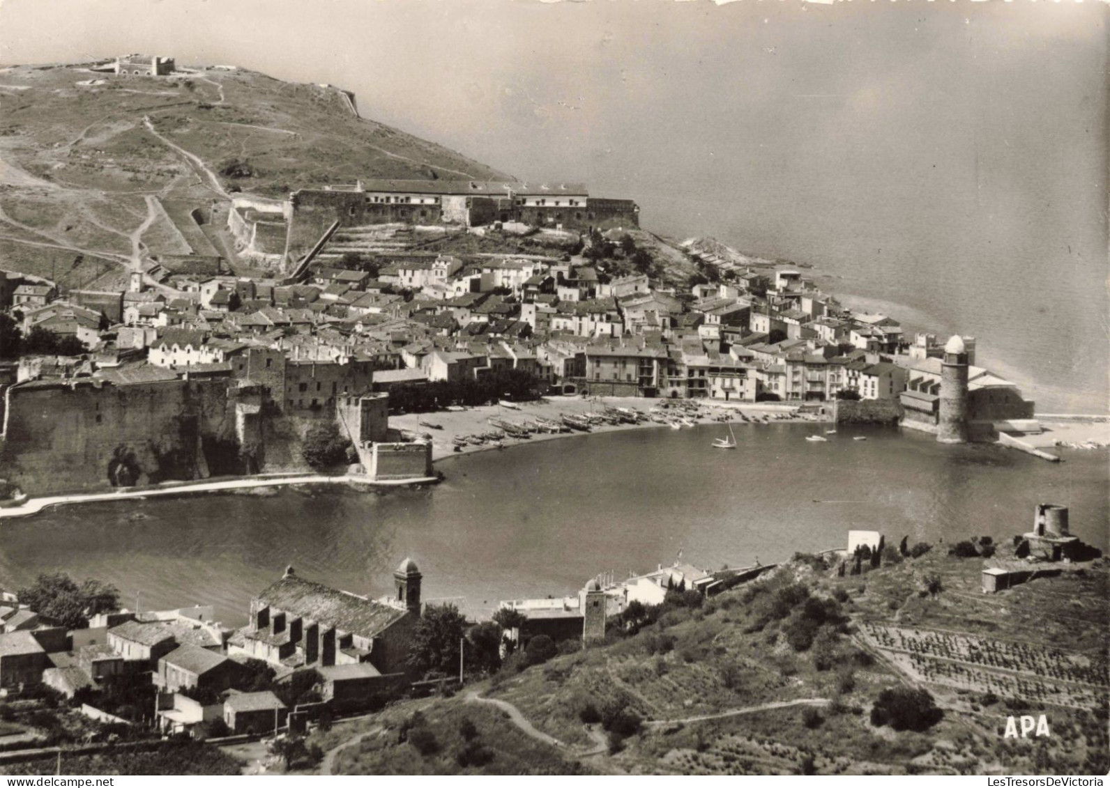 FRANCE - Collioure - Vue Panoramique Sur La Rade, L'Eglise Et Le Château - Carte Postale Ancienne - Collioure