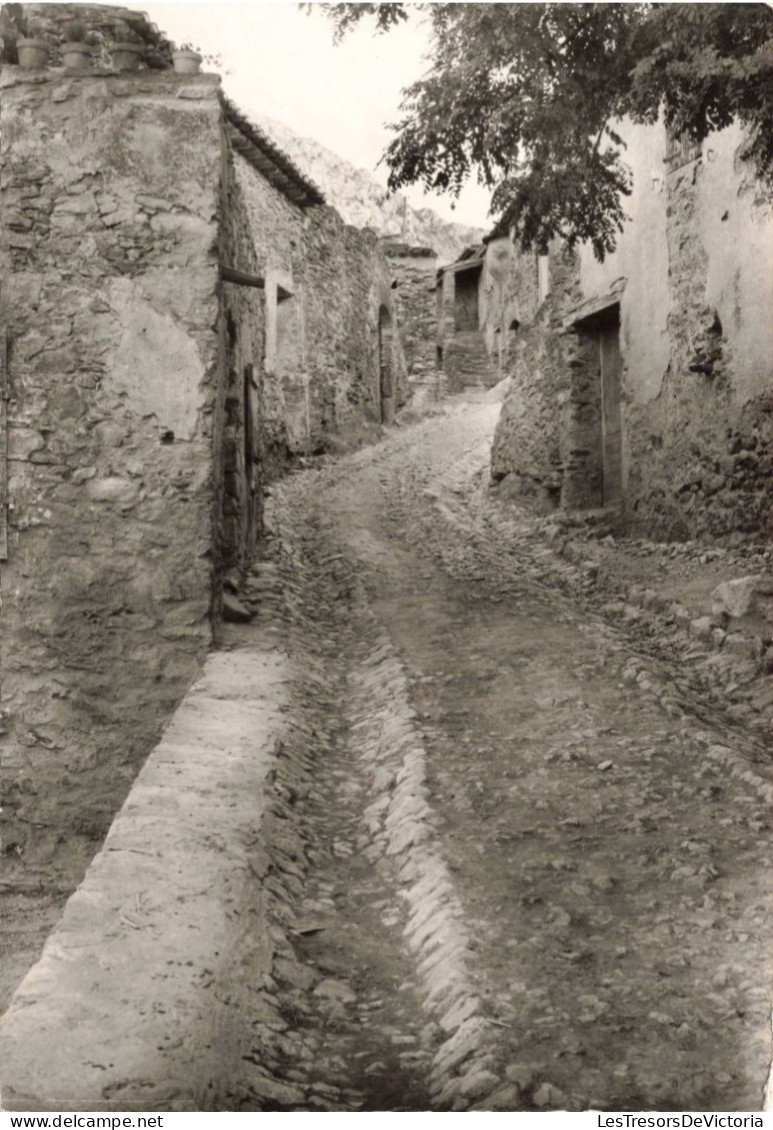 FRANCE - Castellnou - Près De Thuir - Vieille Rue Xeme Siècle - Carte Postale Ancienne - Autres & Non Classés