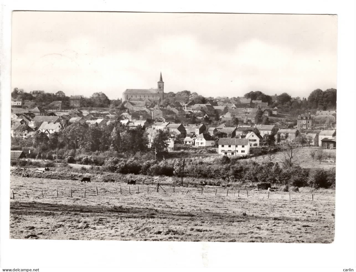 Havelange - Panorama - Editions Quincaillerie-Papeterie Jennes - Havelange, Rue De La Station ( Edition Peu Courante ) - Havelange