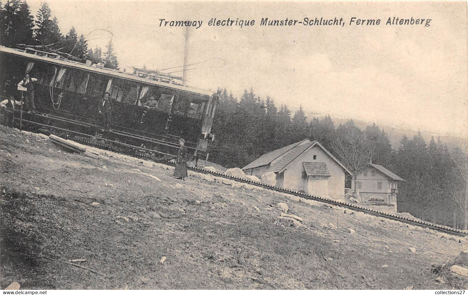 68-MUNSTER-XCHLUCHT- TRAMWAY ELECTRIQUE , FERME ALTENBERG - Munster