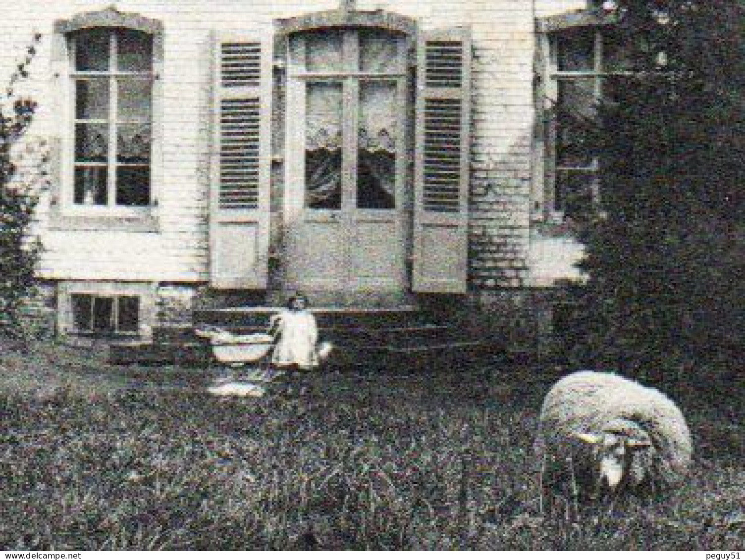 Bovesse ( La Bruyère). Château-ferme Des Boesnel. Fillette Et Chèvre. - La Bruyere