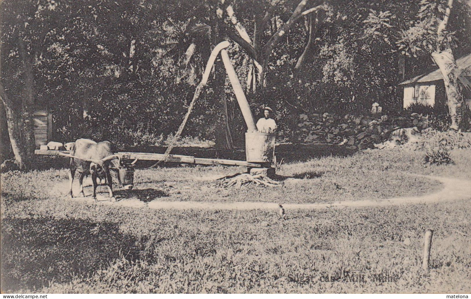 SEYCHELLES MAHE SUGAR CANE MILL - Seychelles