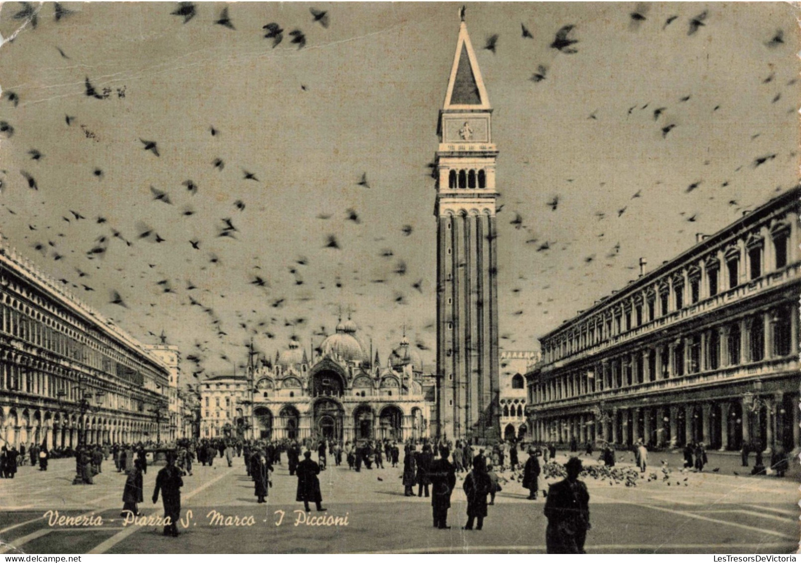 ITALIE - Venezia - Piazza S Marco - J Piccioni - Animé - Carte Postale Ancienne - Venezia (Venice)