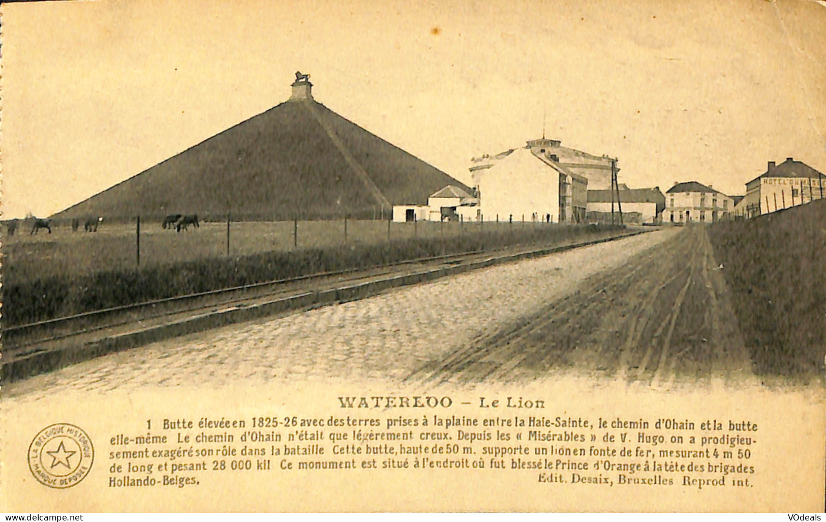 Belgique - Brabant Wallon - Waterloo - Le Lion - Waterloo