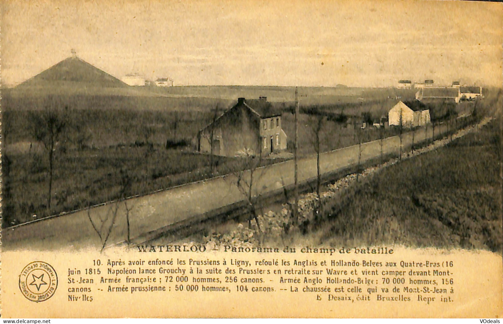 Belgique - Brabant Wallon - Waterloo - Panorama Du Champ De Bataille - Waterloo