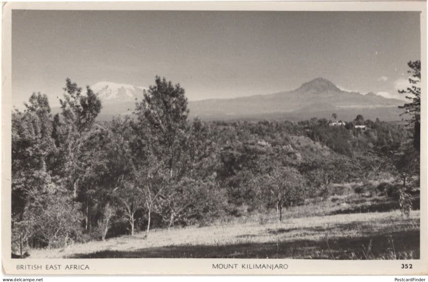 Mount Kilimanjaro East Africa Real Photo Postcard - Kenya