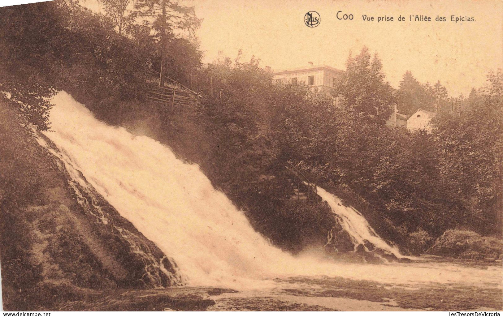 PHOTOGRAPHIE - Vue Prise De L'Allée Des Epicias - Carte Postale Ancienne - Photographie