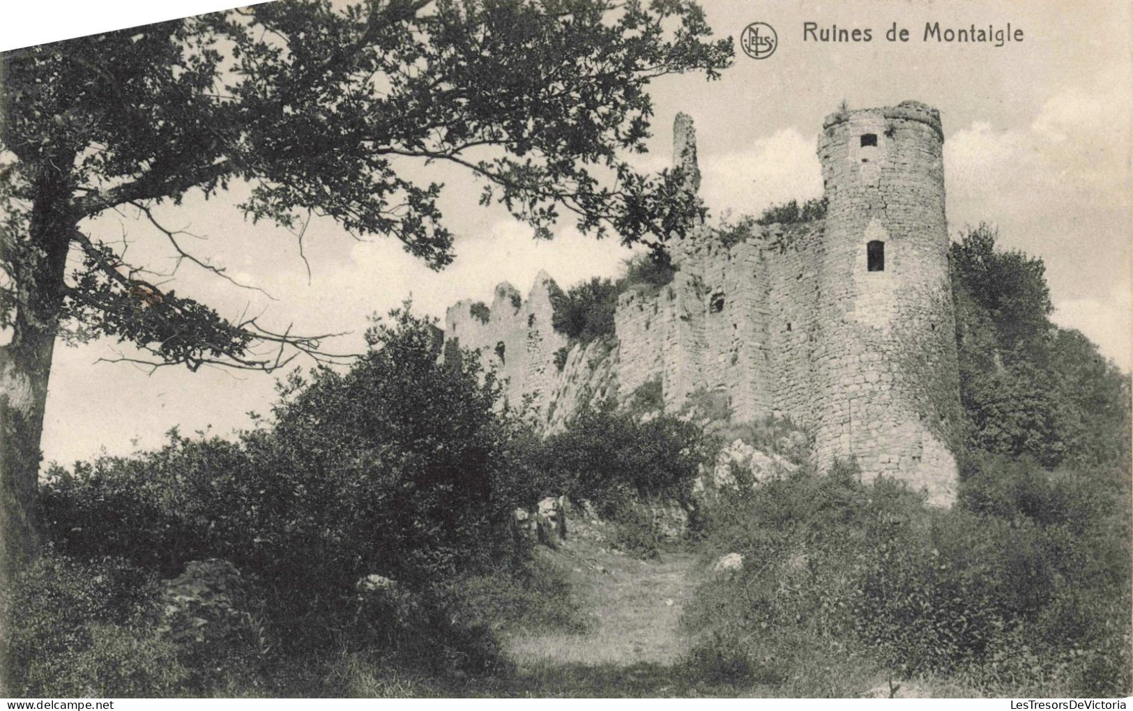 PHOTOGRAPHIE - Ruines De Montaigle - Carte Postale Ancienne - Photographs