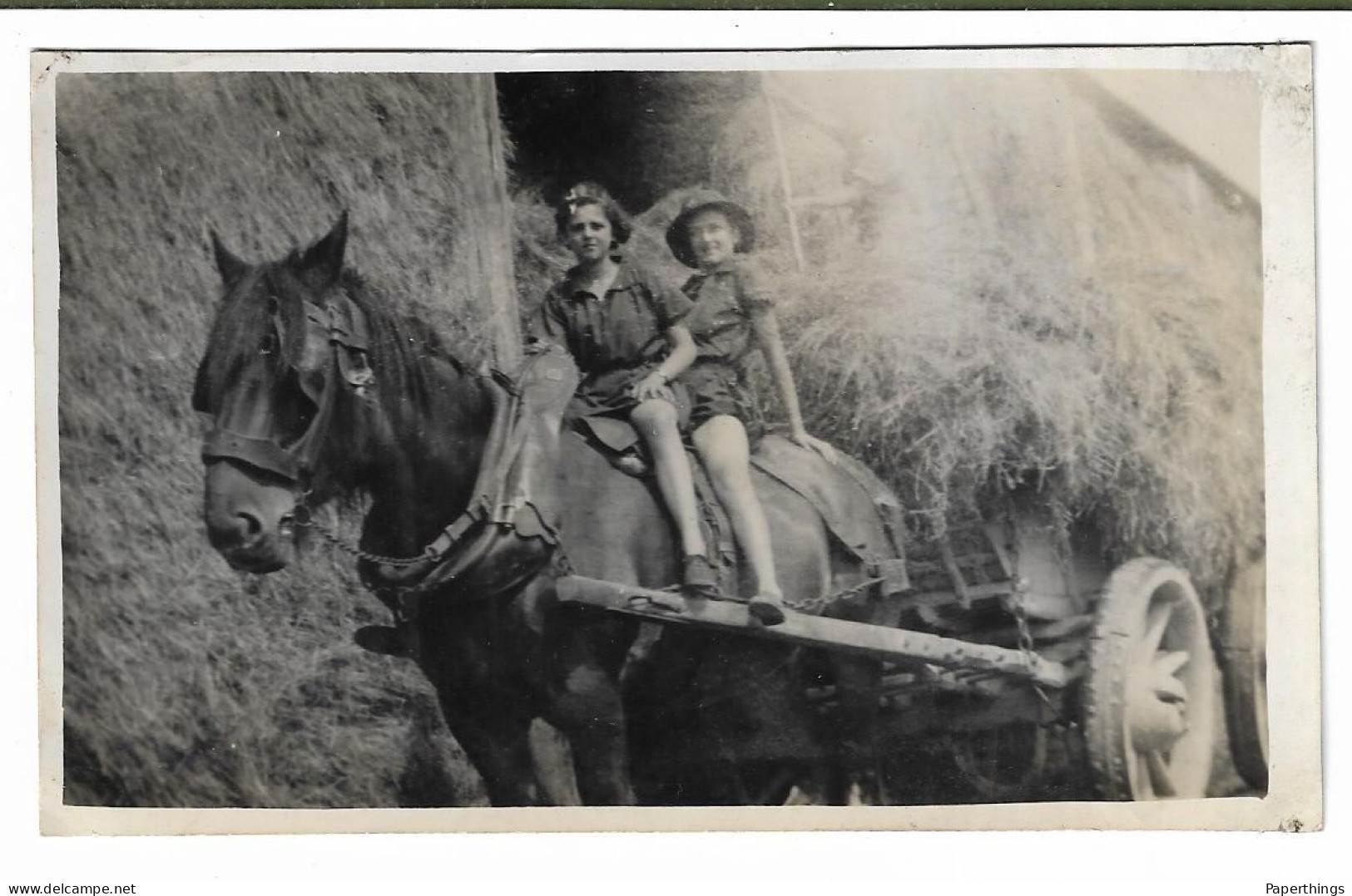 Real Photo Postcard, Wales, Montgomeryshire, Powys, Welshpool, Coed Y Dinas, Girl Guides Camp, 1935. - Montgomeryshire