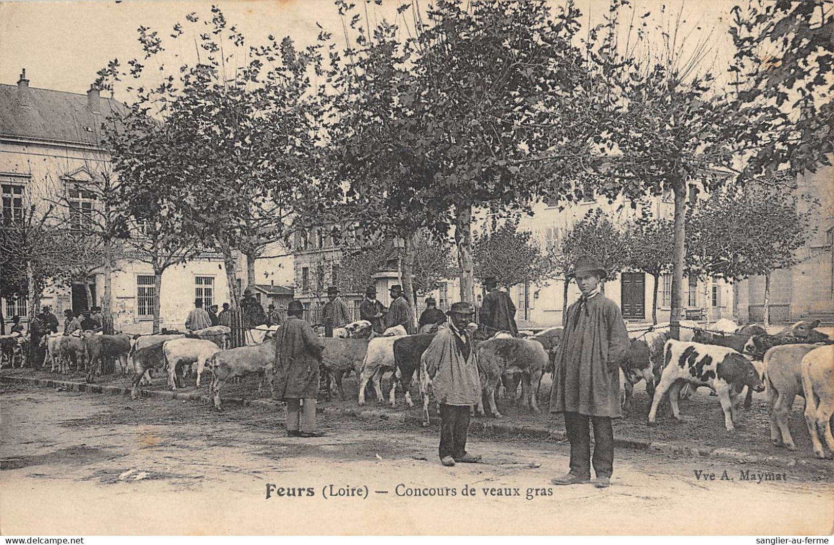 CPA 41 FEURS / CONCOURS DE VEAUX GRAS - Sonstige & Ohne Zuordnung