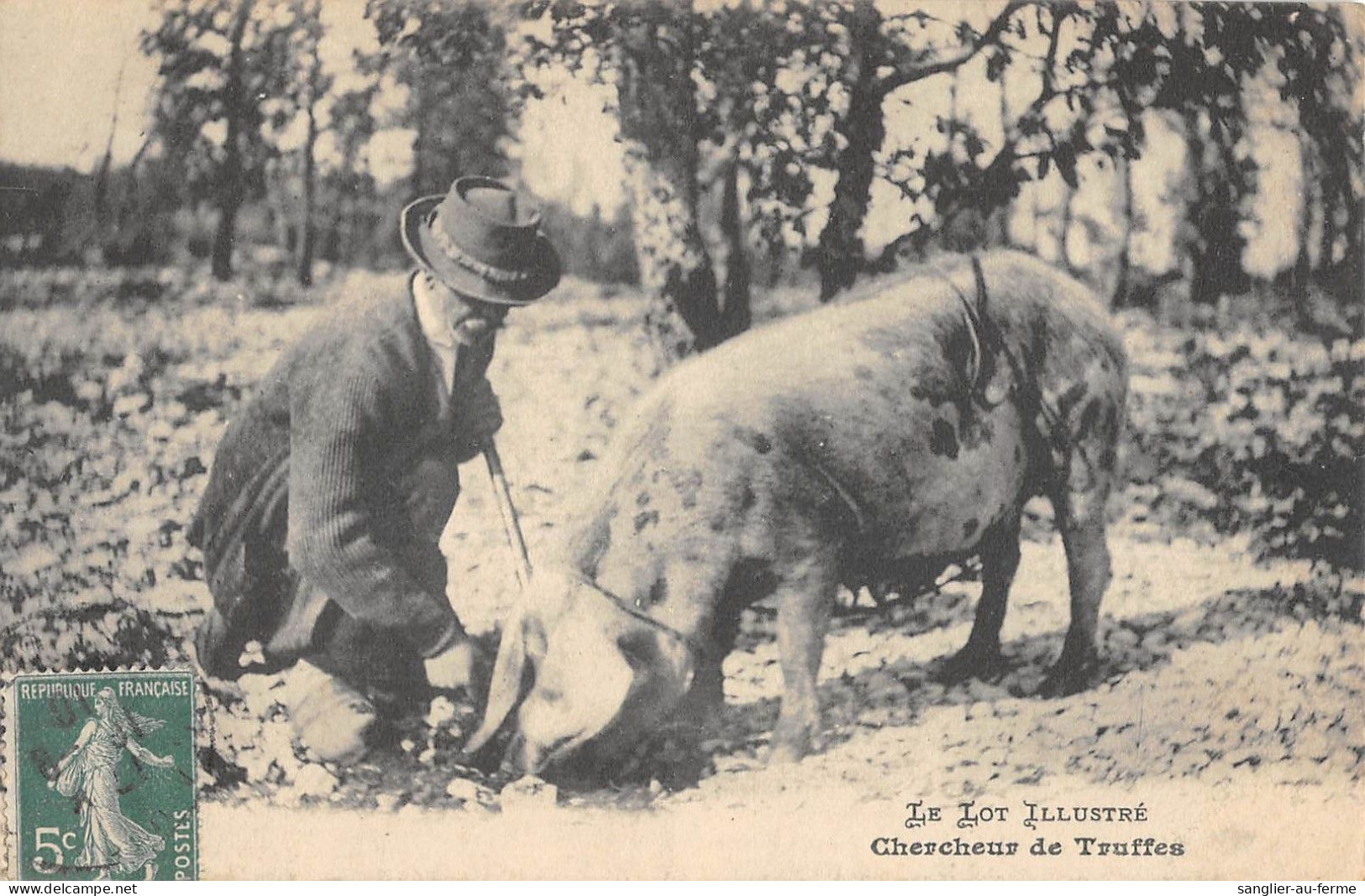 CPA 46 LE LOT / CHERCHEUR DE TRUFFES - Autres & Non Classés