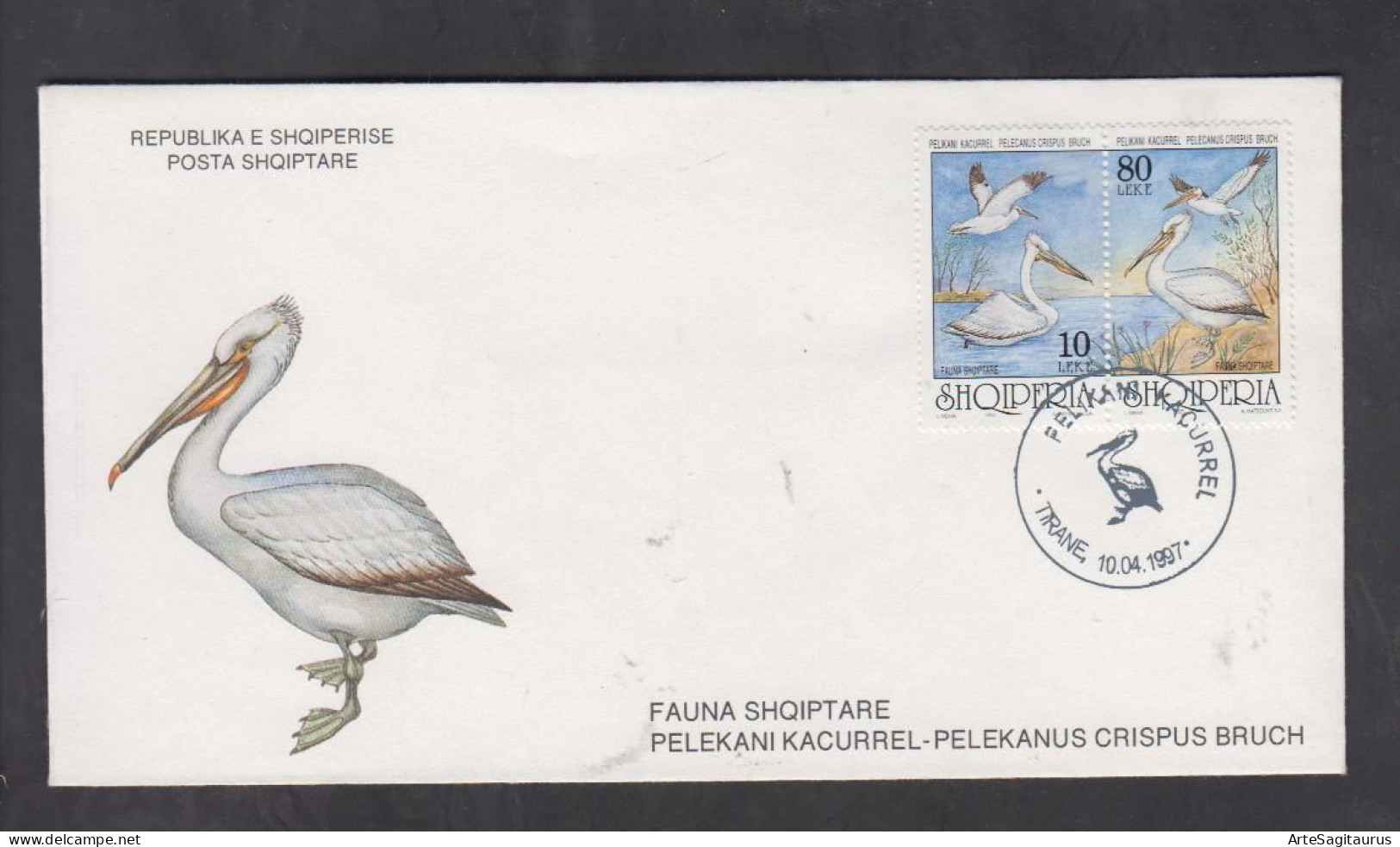 ALBANIA, FDC, BIRDS-Pelecanus Crispus + - Pelícanos