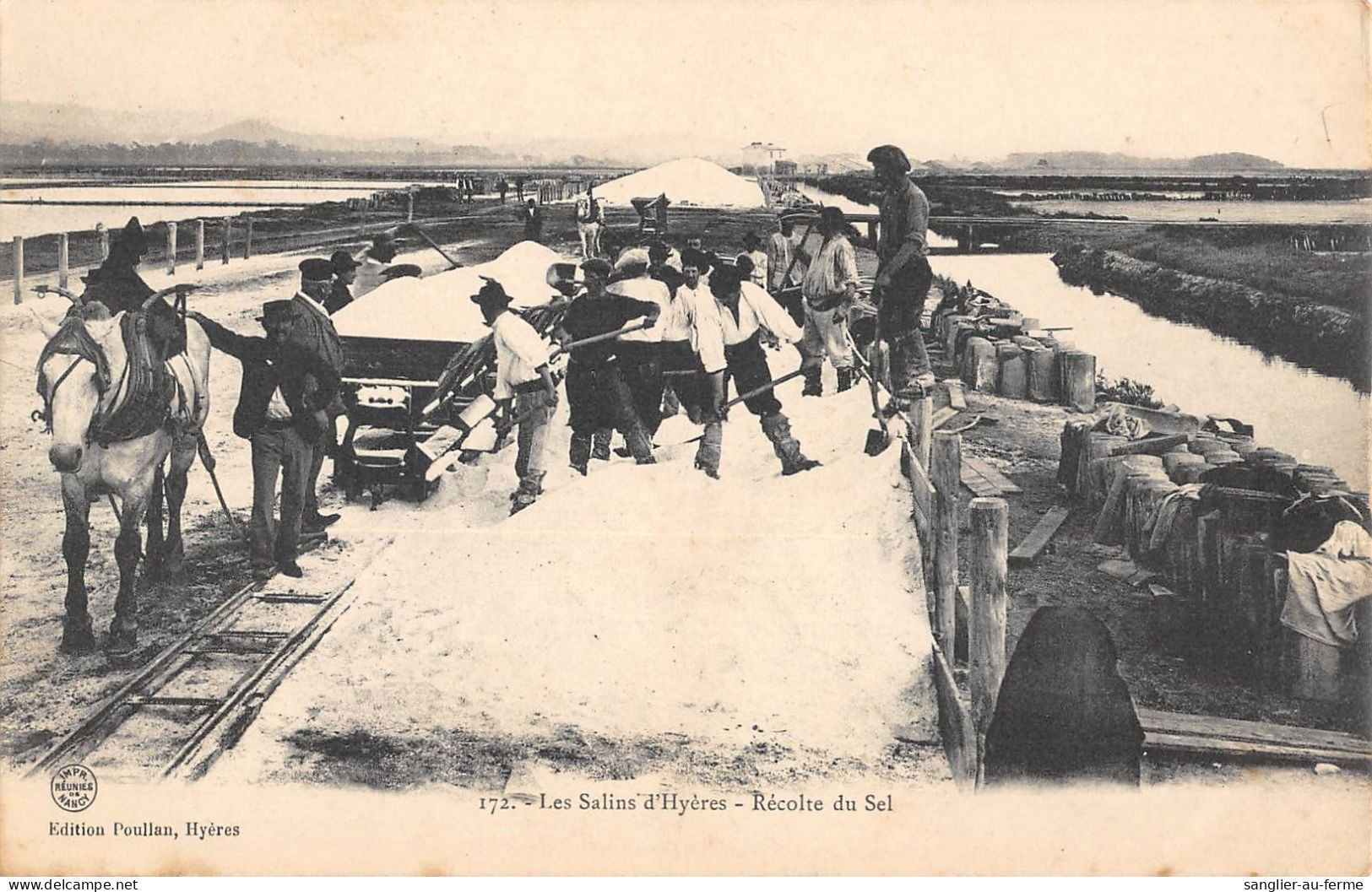 CPA 83 LES SALINS D'HYERES / RECOLTE DU SEL - Hyeres