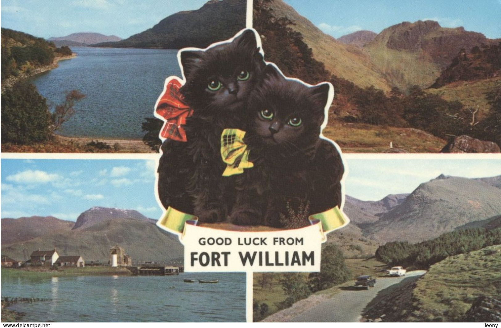 CPSM 9X14 D' ECOSSE -  GOOD LUCK FROM FORT WILLIAM - CHATONS & VUES DIVERSES - Inverness-shire