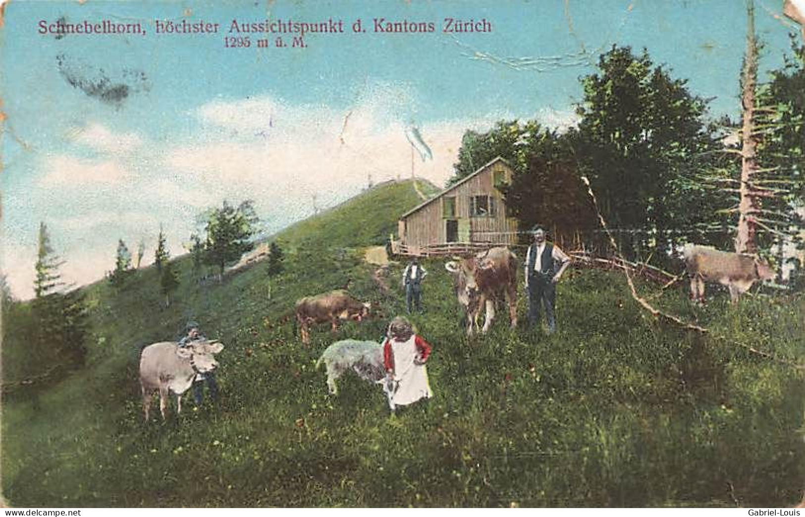 Schnebelhorn Höchster Aussichtspunkt Kantons Zürich 1295 M 1912 Zürcher Alp  Bergbauer Kühe - Zürich