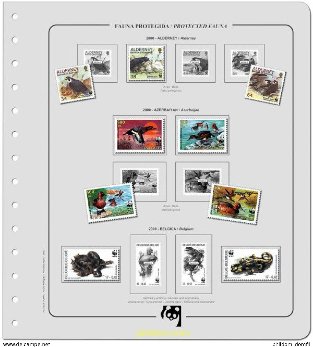 Suplemento WWF 1991 Básico Montado - Briefe U. Dokumente