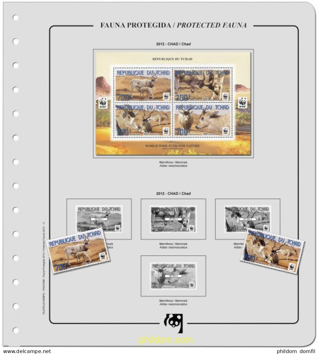 Suplemento WWF 2012 Básico Montado - Lettres & Documents