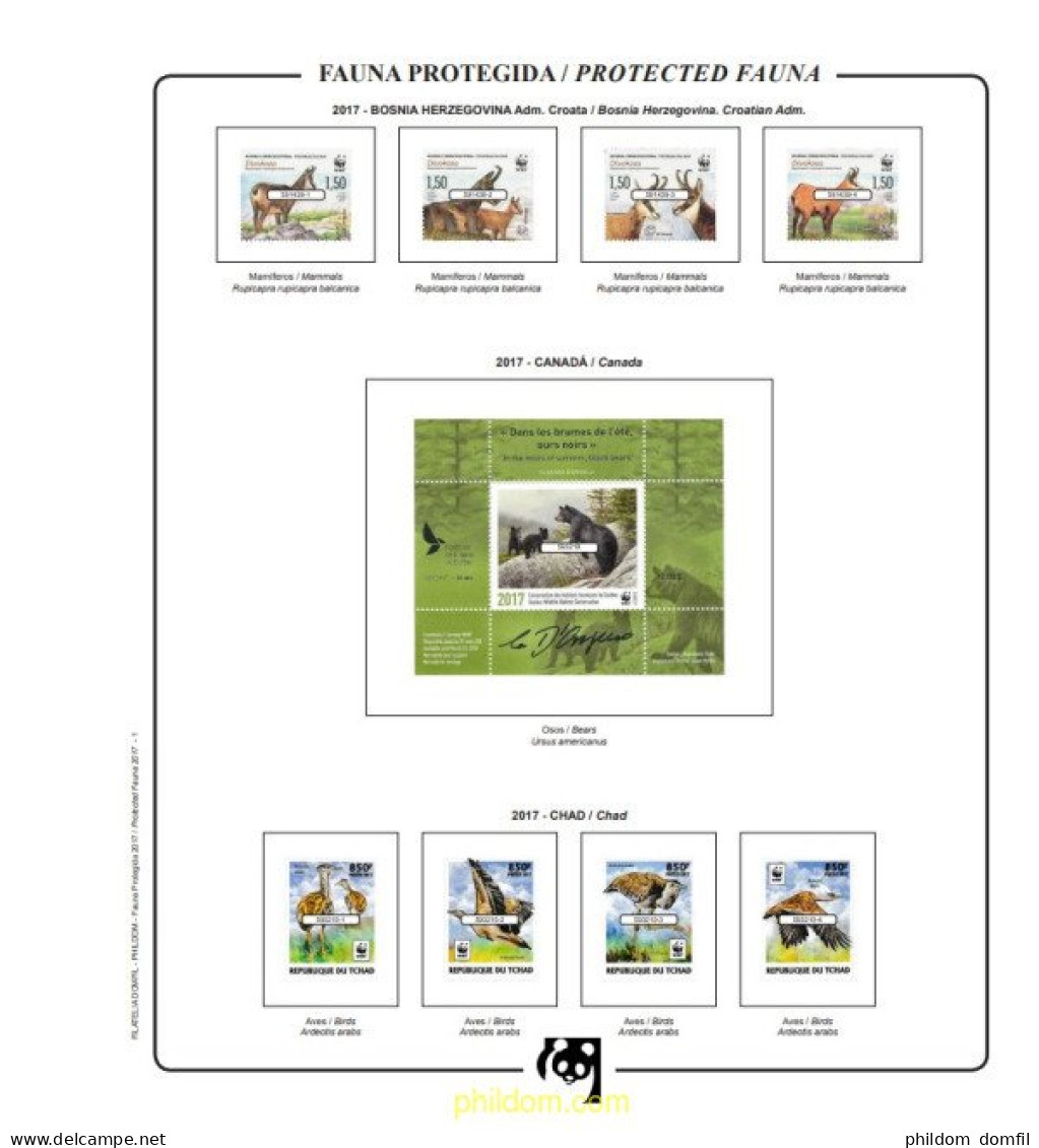 Suplemento WWF 2017 Básico Montado - Lettres & Documents