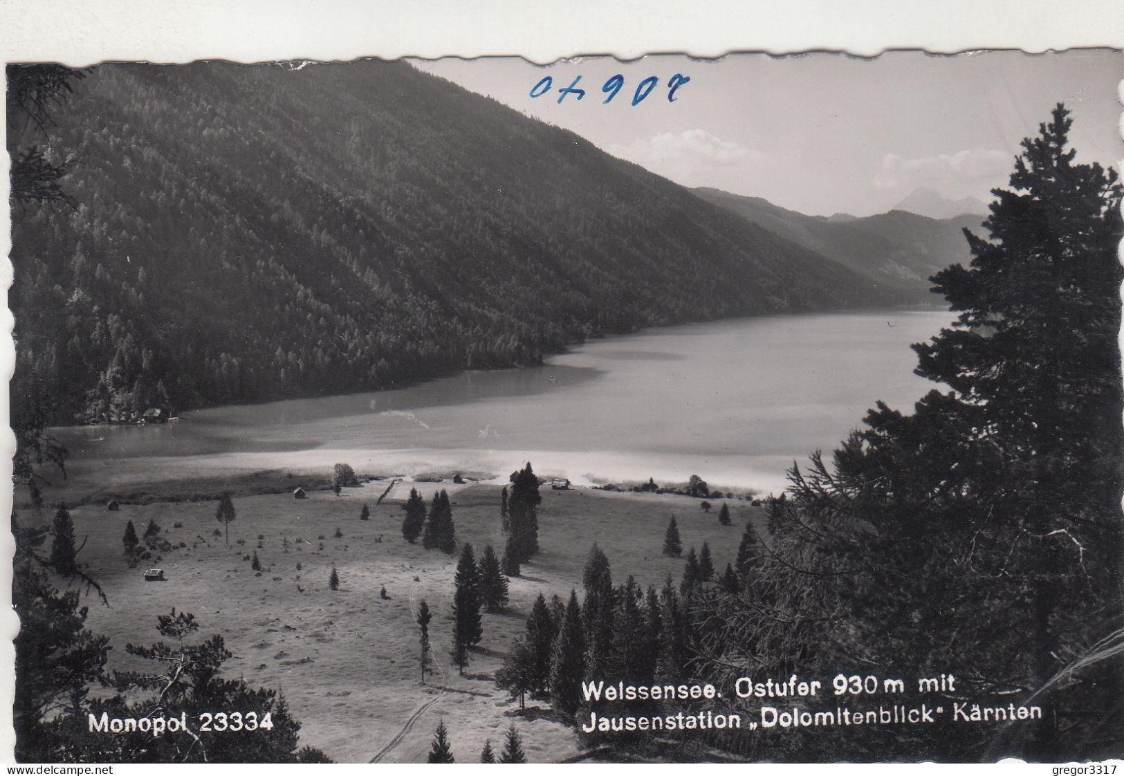 D5746) WEISSENSEE - Ostufer Mit Jausenstation DOLOMITENBLICK - Kärnten - Alte FOTO AK - Weissensee