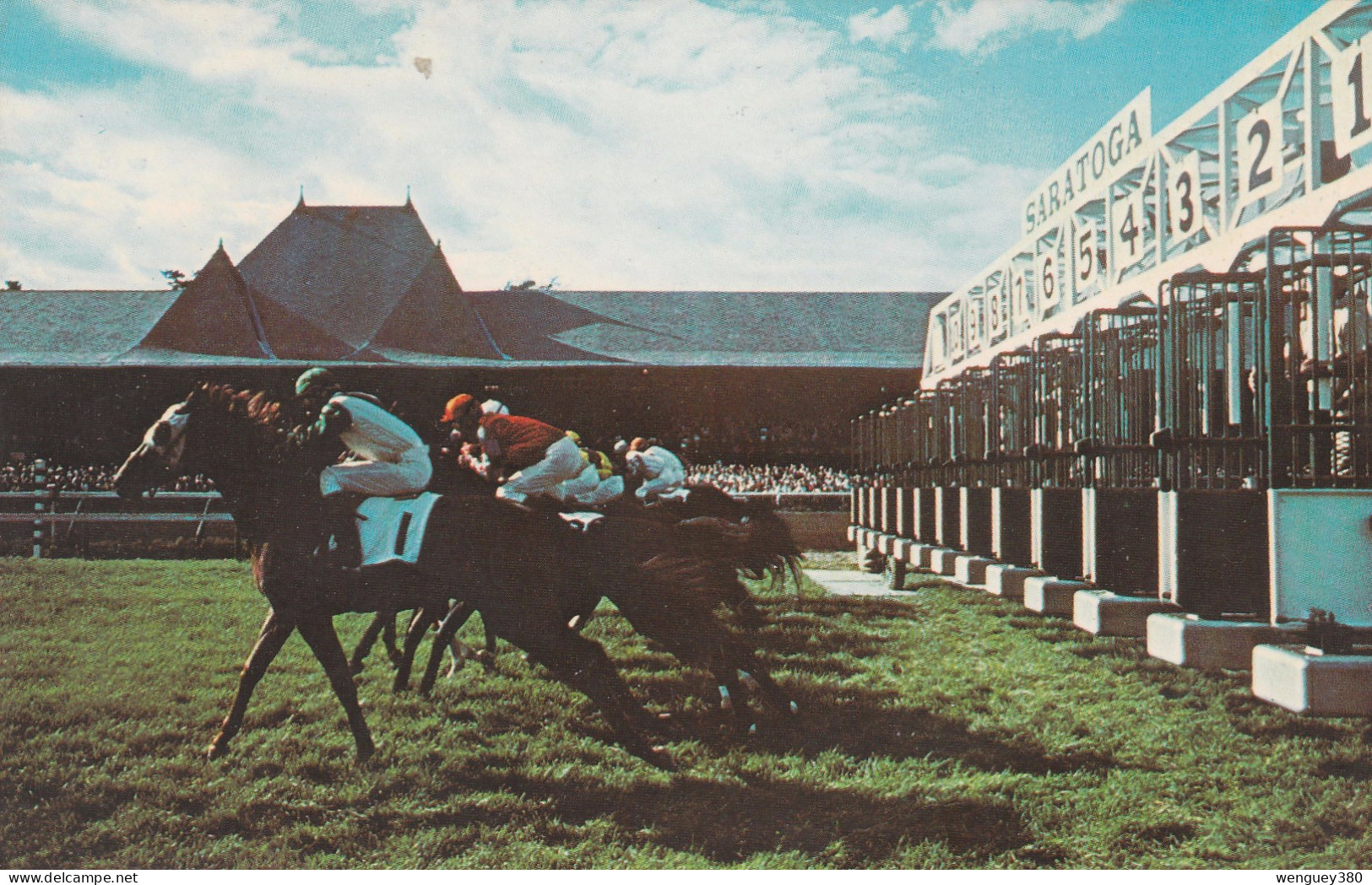 SARATOGA SPRINGS    2 POSTCARDS  SARATOGA RACE TRACK    NICE VIEWS.     RARE - Saratoga Springs