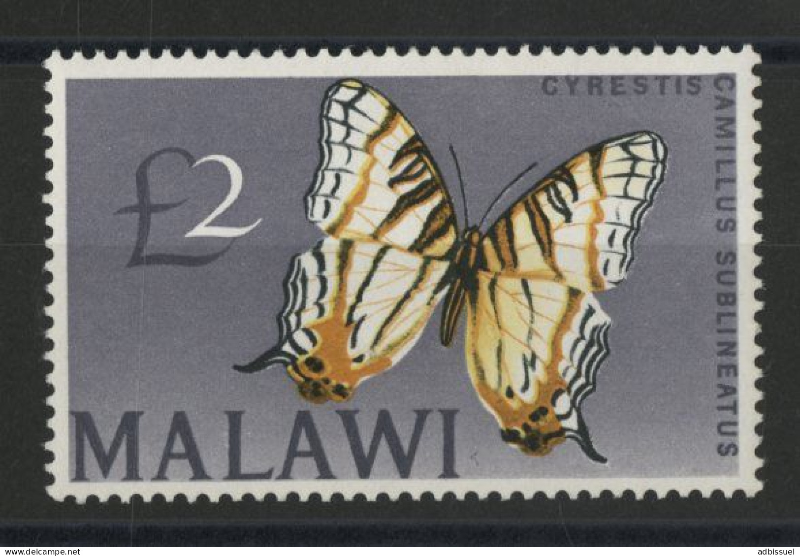 MALAWI N° 51 Cote 52,5 € Neuf ** (MNH) PAPILLON BUTTERFLY Voir Description - Malawi (1964-...)