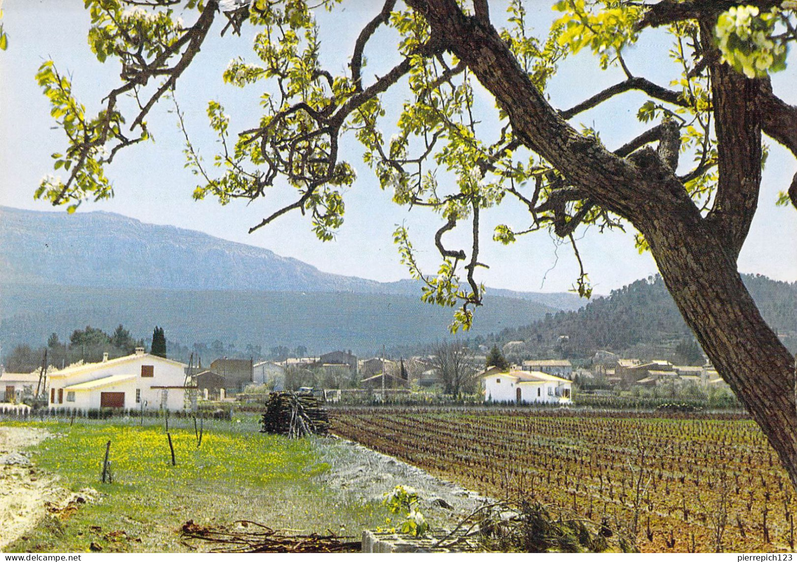 83 - Nans Les Pins - Vue Générale - Nans-les-Pins