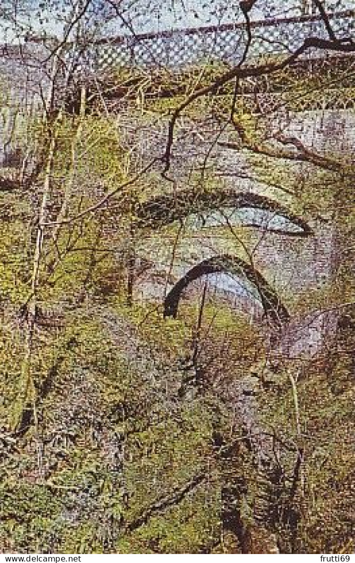 AK 168887 WALES - Devil's Bridge - Cardiganshire