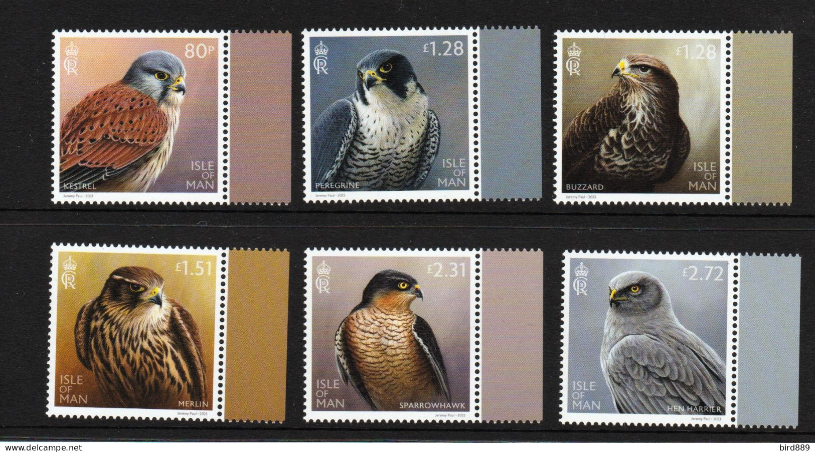 2023 Isle Of Man Birds Of Prey Full Border Set Of 6 MNH - Aigles & Rapaces Diurnes