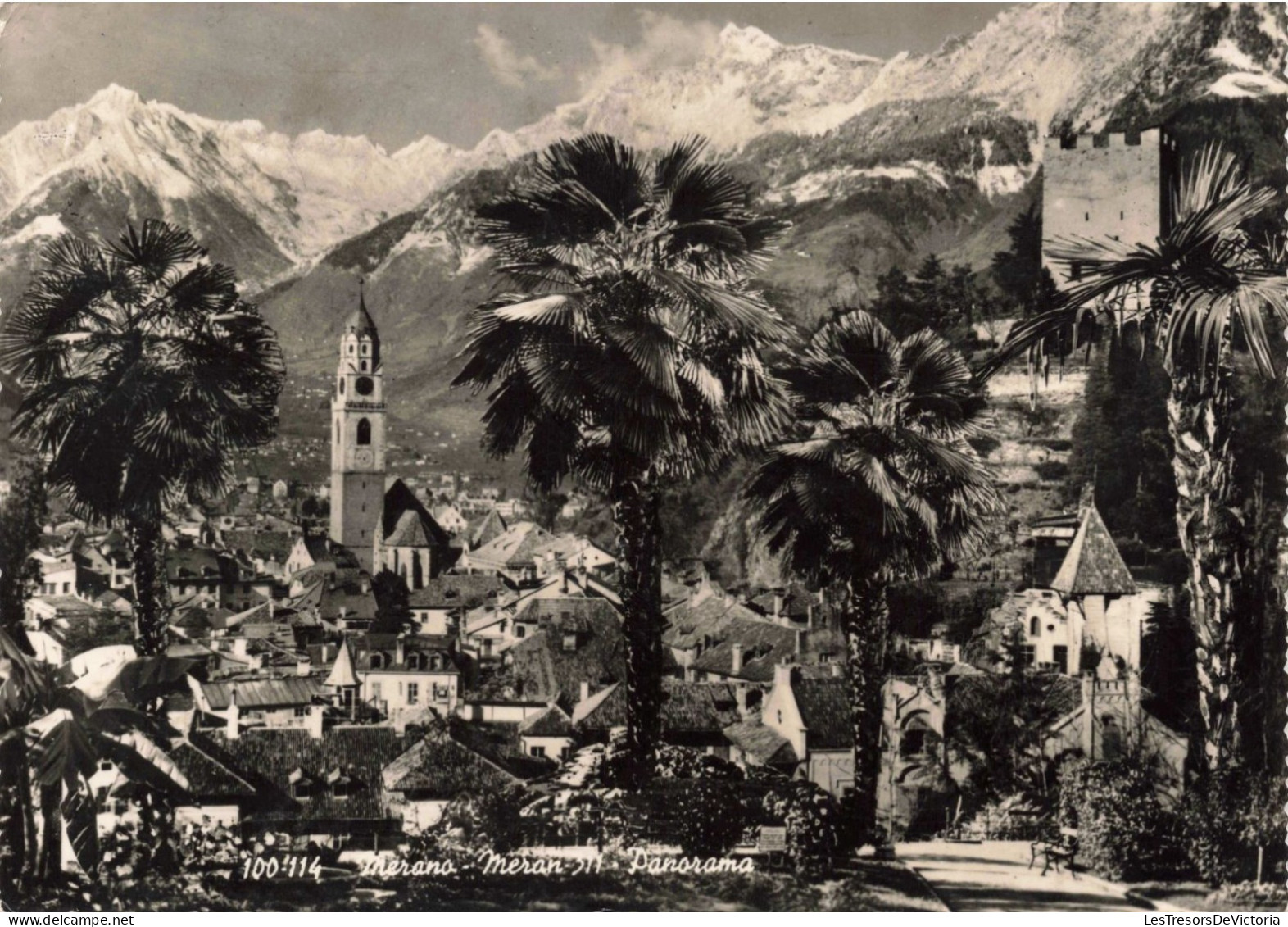 ITALIE - Merano - Panorama - Carte Postale Ancienne - Merano