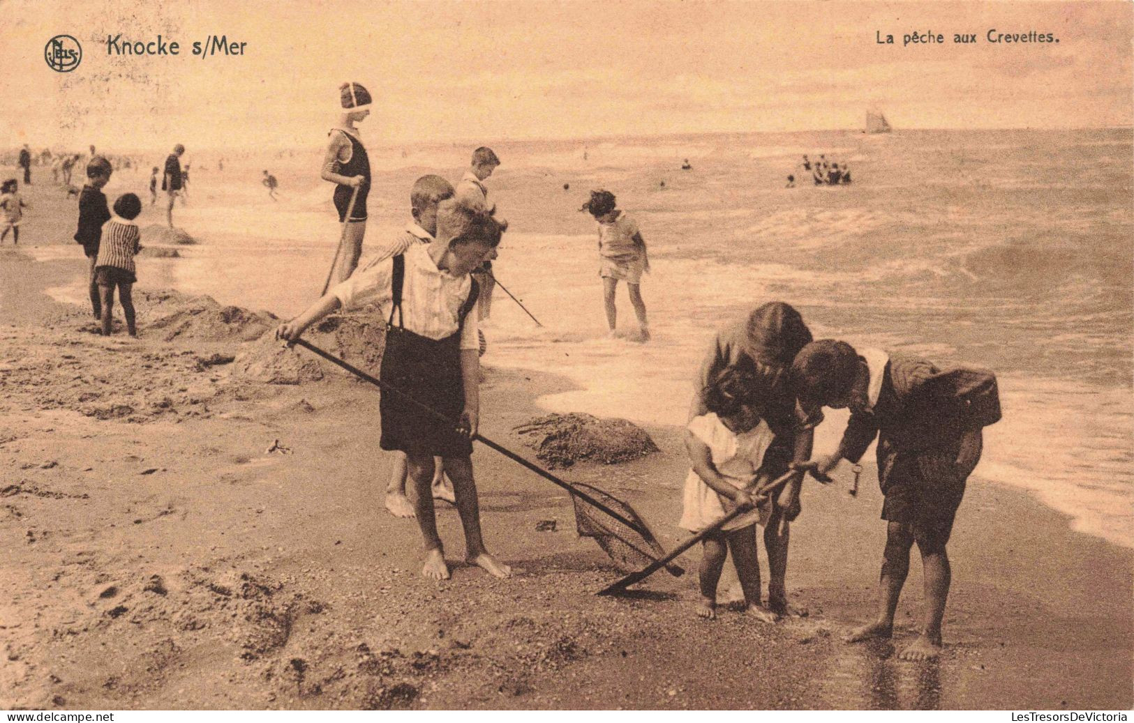 BELGIQUE - Knocke - La Pêche Aux Crevettes - Carte Postale Ancienne - Knokke