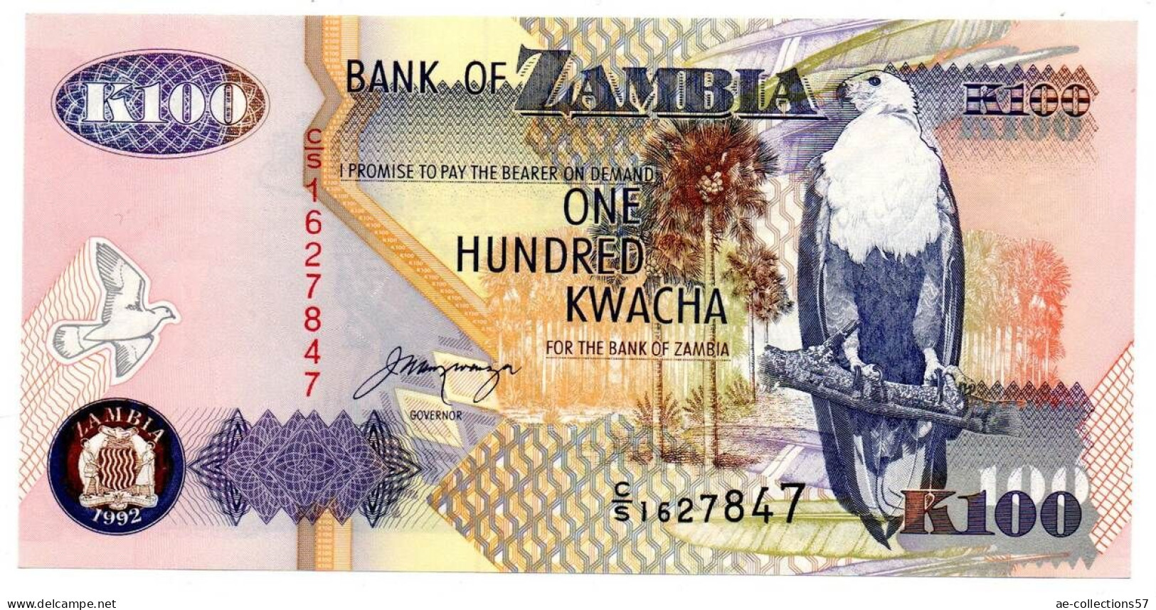 MA 4197  / Zambie - Zambia 100 Kwacha 1992 UNC - Sambia