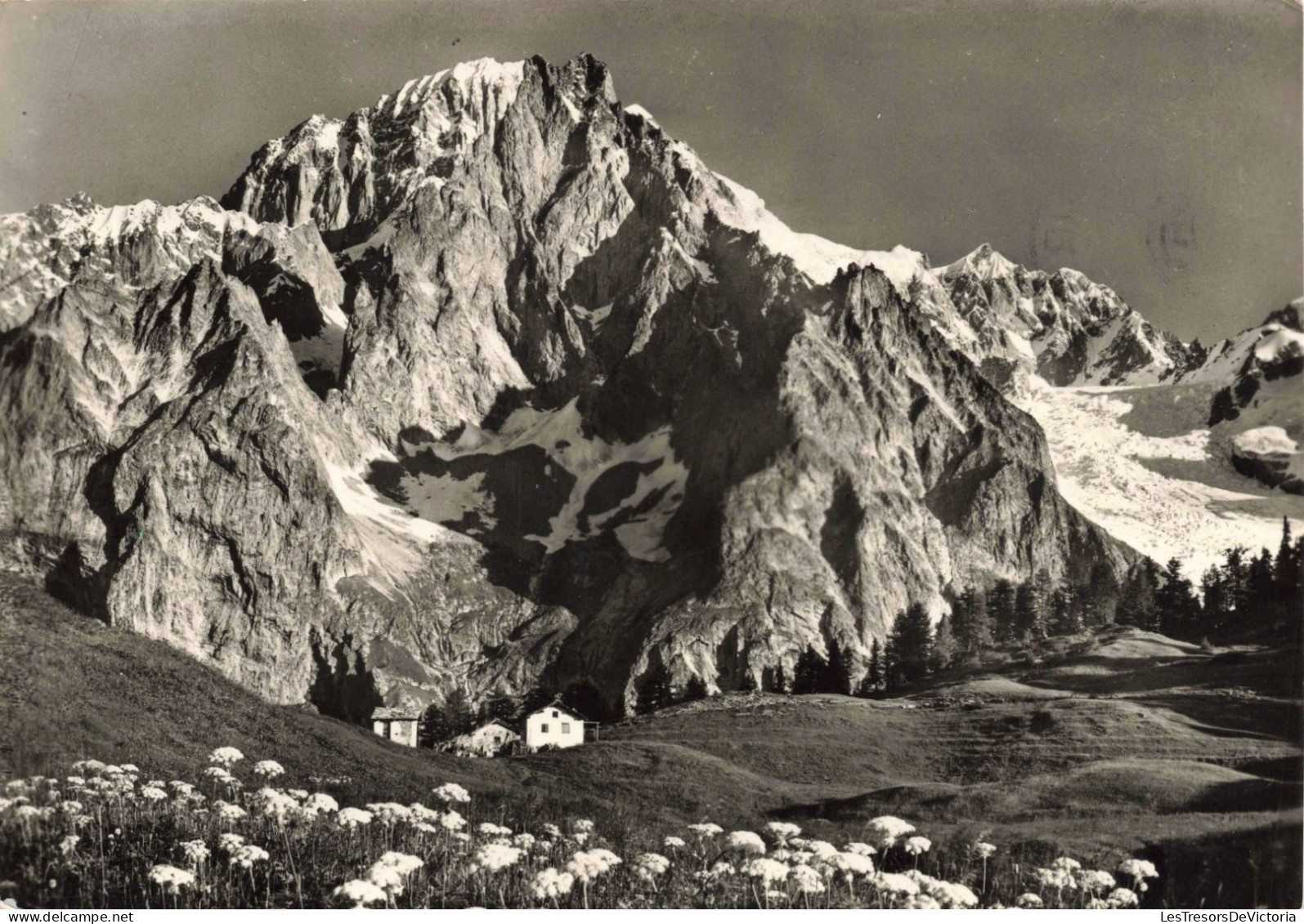 ITALIE - Courmayeur - Colle Chécrouit Et Monte Bianco - Carte Postale Ancienne - Autres & Non Classés