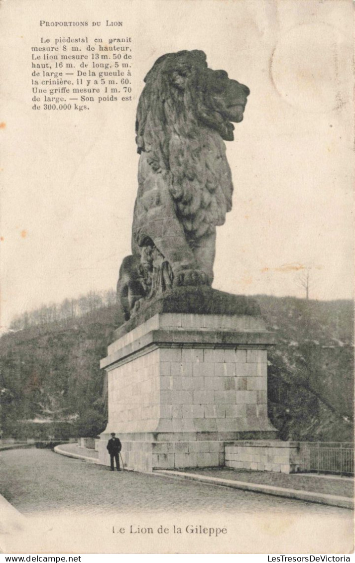 PHOTOGRAPHIE - Proportion Du Lion - Carte Postale Ancienne - Photographs