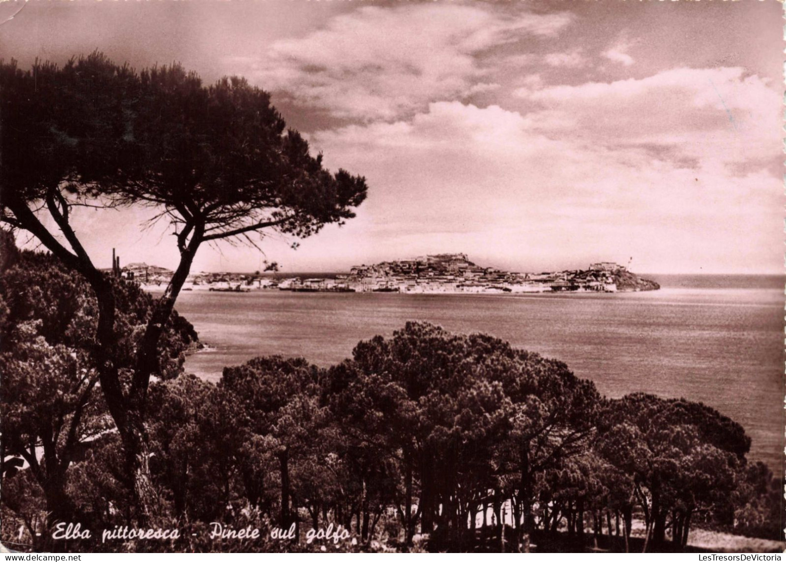 ITALIE - Elba - Pinete Sul Golfo - Carte Postale Ancienne - Other & Unclassified