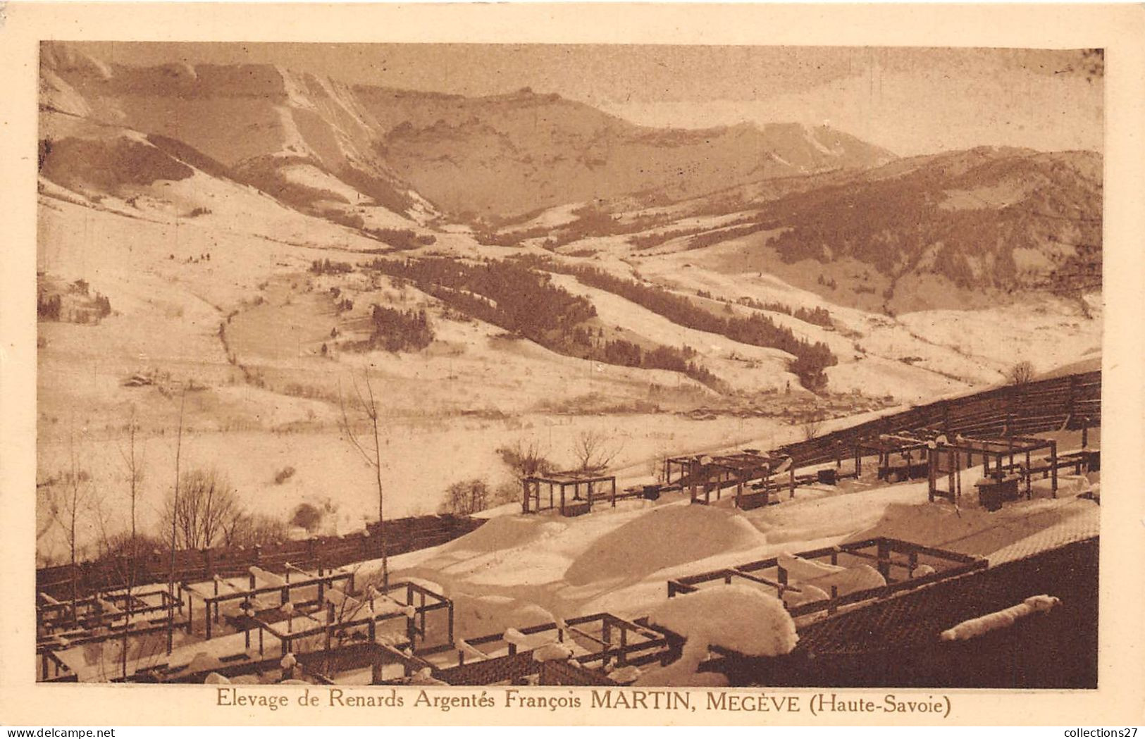 74-MEGEVE- 2 CARTES DE ELEVAGE DE RENARDS ARGENTES - FRANCOIS MARTIN - Megève