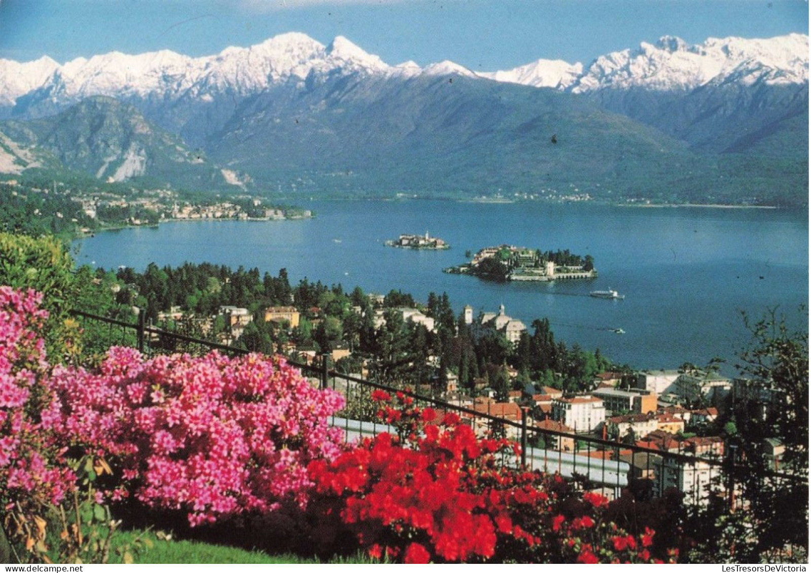 ITALIE - Stresa - Lac Majeur - Vue Générale - Colorisé - Carte Postale Ancienne - Verbania