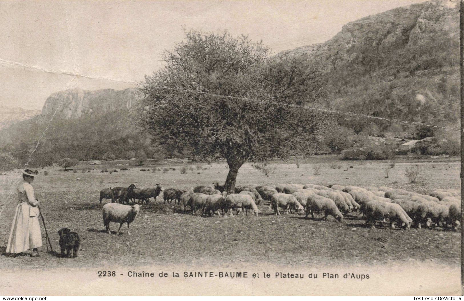 FRANCE - Sainte Baume - Le Plateau Du Plan D'Aups - Carte Postale Ancienne - Autres & Non Classés