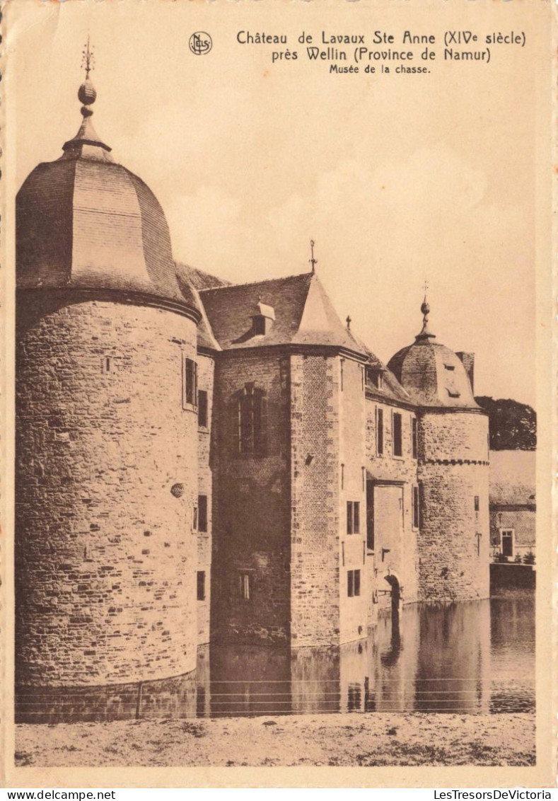 BELGIQUE - Namur - Chateau De Lavaux Ste Anne Près Wellin - Carte Postale Ancienne - Namur